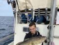 Dorsch gefangen  2020 mit Rügens Fischerman