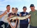 Royal Fishing 2018