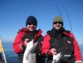 Angeltour auf der Ostsee zwei Angler zwei Fische